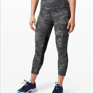 Pace Rival HR Crop 22”